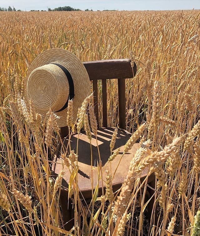 f6d07856fae014e715837028e14b5d9c